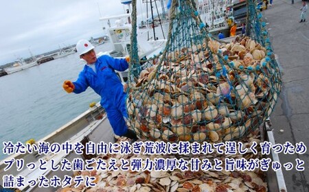 22-146 北海道オホーツク海産ホタテ玉冷バラエティサイズ(1kg)｜ 訳あり サイズ不揃い