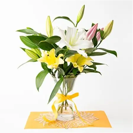ユリ農家から直送!笑顔引き出す ユリの花束ギフト_花・観葉植物  花 _【1293099】