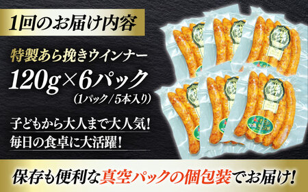ウインナー【全3回定期便】特製 5本入り×6袋  ウインナー[AGAZ076]
