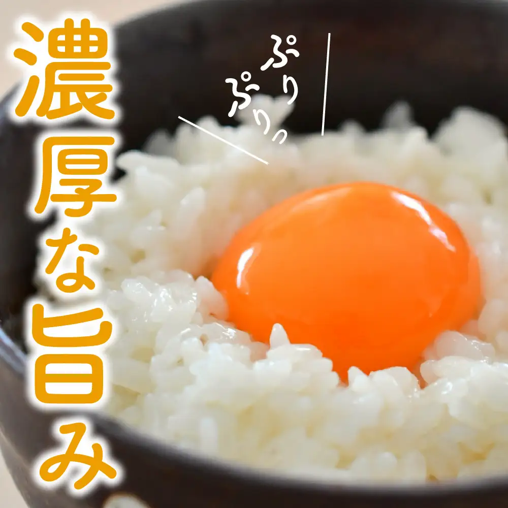 【定期便】 卵 紅花たまご 60個 × 3ヶ月 計180個