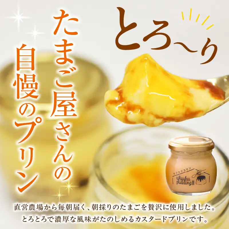 《1日10セット限定》 ウフウフガーデンのとろ生プリン（90g×6個）