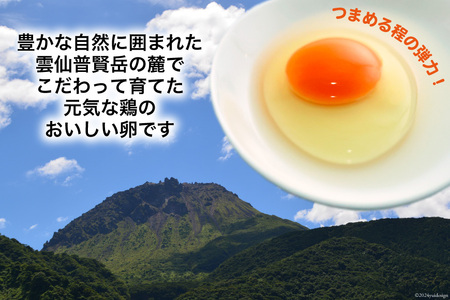 BI027 たっぷり！ 雲仙たまごMサイズ 90個(85個＋割れ補償5個入り) [長崎県 島原市]