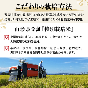 【先行予約】【 令和8年産 】 特別栽培米 つや姫 計 6kg ( 2kg × 3袋 ) 2026年産 産地直送 農家直送 ブランド米