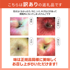 【2026年先行予約】【訳あり】早生ふじ5kg(14個～16個） りんご 山梨県産 早生ふじ 期間限定 家庭用 規格外 フルーツ 果物 果実 山梨 北杜市 [h301]