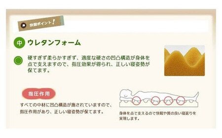 ゼオテックス ボリューム 健康 敷布団 〔 ブルー 〕 ふとん 敷き布団 寝具 国産 日本製 温熱 消臭 調湿 抗菌 防カビ 防ダニ ゼオライト ゼオテックス 山形県 米沢市 送料無料