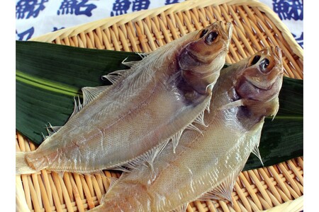 山陰浜田 創業大正10年香住屋のこだわり干物「水かれい一夜干し」 魚介類 干物 おつまみ おかず カレイ 水かれい 一夜干し 【024_1993】