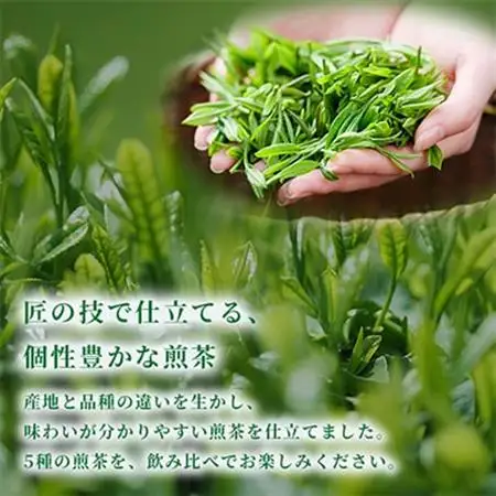 茶の匠シリーズ全国の日本茶飲み比べセット_飲料・ドリンク 茶葉・ティーバッグ 茶 _【1073371】