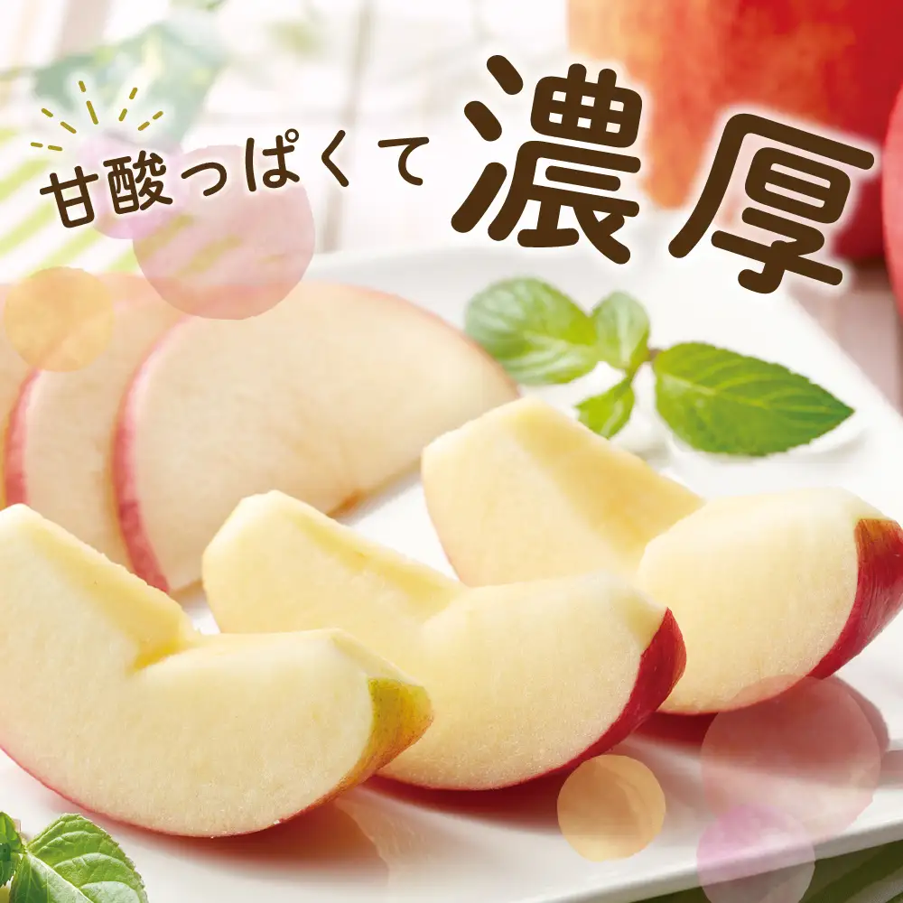 【先行予約】 令和8年産 紅玉 りんご 約2kg 舘山 りんご