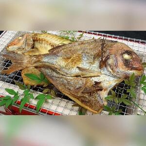 天然鳴門鯛 一夜干し（250g ×3枚）冷凍