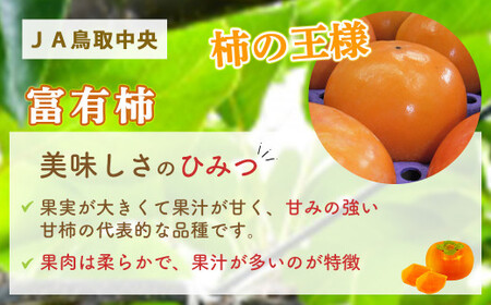 【数量限定】 富有柿 （約3kg） 柿 果物 フルーツ