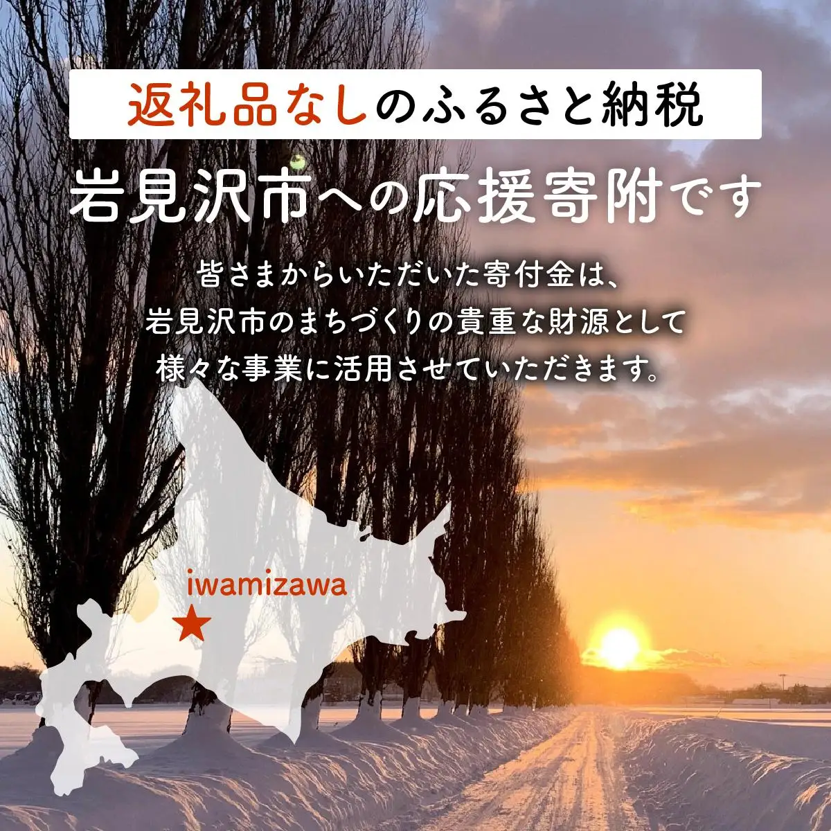 【返礼品なし】岩見沢市 寄附のみ応援 10,000円【応援寄附】