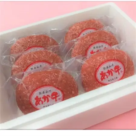 あか牛100%ハンバーグセット(あか牛ハンバーグ120g×6個)(益城町)【配送不可地域：離島】【1526892】
