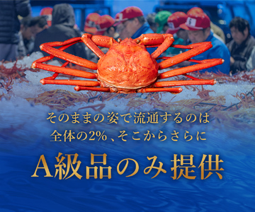 Y282 【蟹セレブ】紅ズワイガニ　1.8kg箱詰め（600g前後×3杯）
