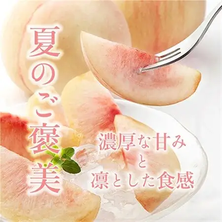 先行受付!　【川中島白桃】大玉特秀品　食べきりやすい3個入り　こだわり農家厳選!【配送不可地域：離島】【1525341】