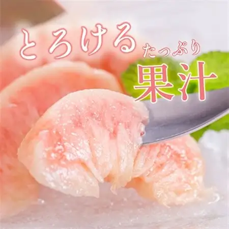 先行受付!　桃(特秀品)食べきりやすい3個入り【2026年6月下旬より順次発送】【配送不可地域：離島】【1525342】