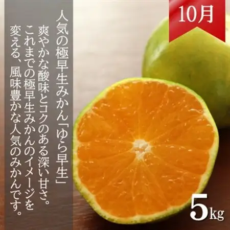 【発送月固定定期便】和歌山からの贈り物　農園直送　季節の柑橘定期便(贈答用)　各5kg全3回【配送不可地域：離島・北海道・沖縄県】【4053733】