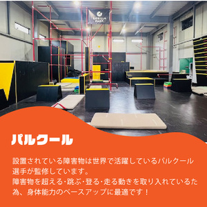 ゴリラパーク 体験チケット 一般 チケット体験チケット割引チケット割引券