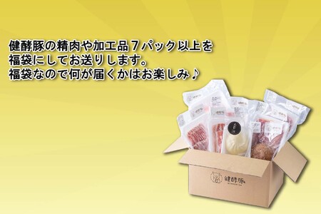 ＜ 定期便 6回 ＞ 北海道産 健酵豚 お楽しみ 福袋 （ 加工品 あり） 隔月 各 7パック以上  豚肉 精肉 加工品 セット 詰め合わせ ブランドポーク