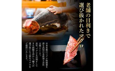 本マグロ 大トロ500g ネギトロ400g(200g×2) ねぎとろ マグロ まぐろ 大とろ 赤身 本鮪 本まぐろ 天然 刺身 刺し身 魚 海鮮 魚介 海鮮丼 ネギトロ丼【株式会社大熊】 [BQAA032]