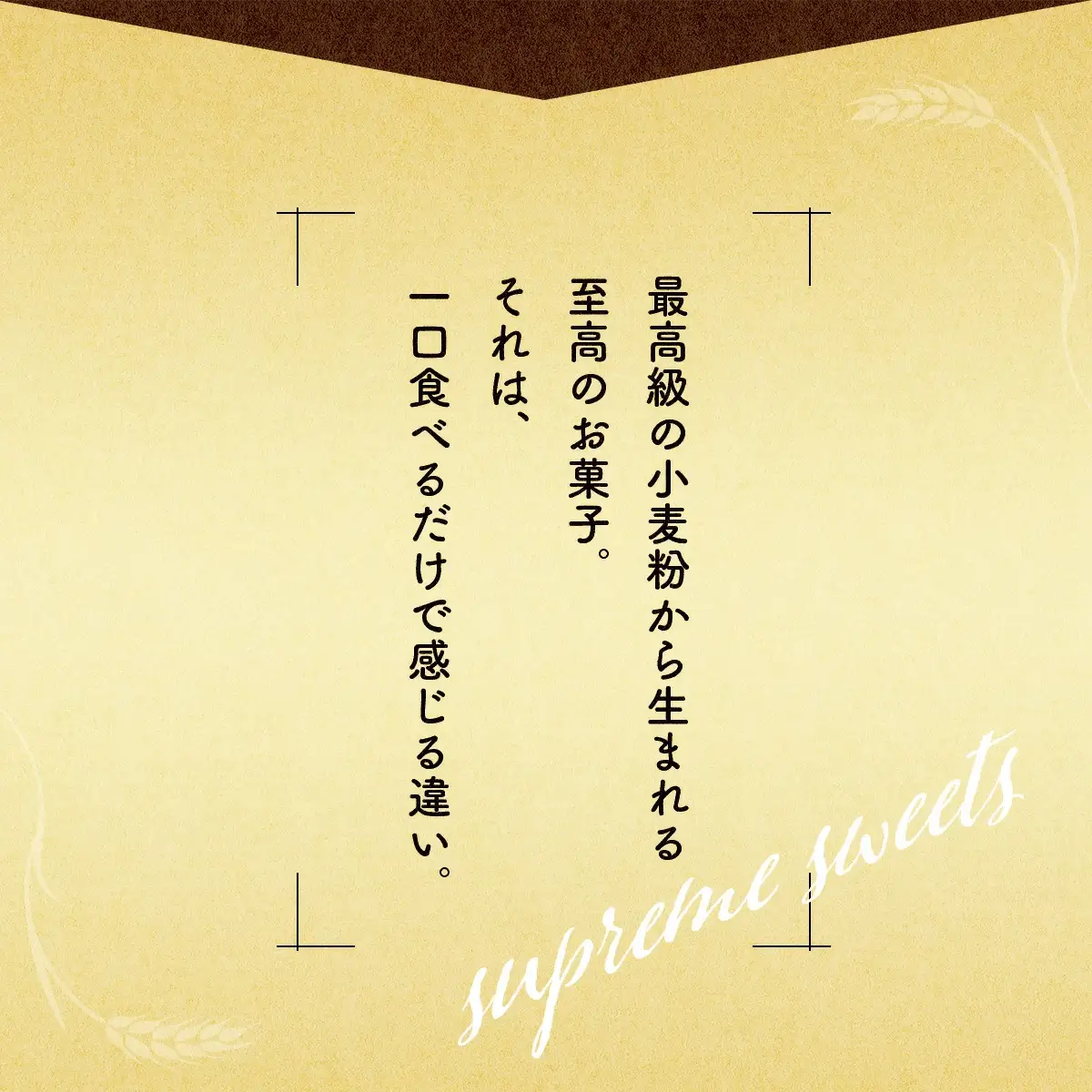 秋田犬物語～ゴット～BOX　1本　60P5609