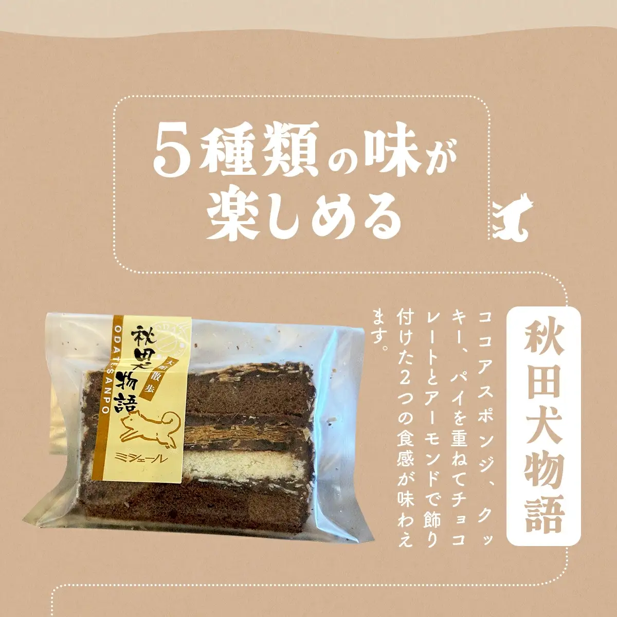 大館散歩　10枚入り　55P5615