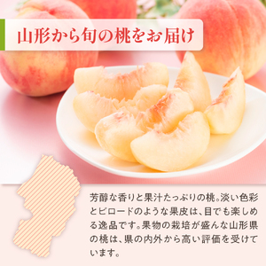 【先行予約】 数量限定 令和8年産 もも 化粧箱入 8～11玉 品種 おまかせ 2026年8月中下旬～9月上旬頃 お届け予定