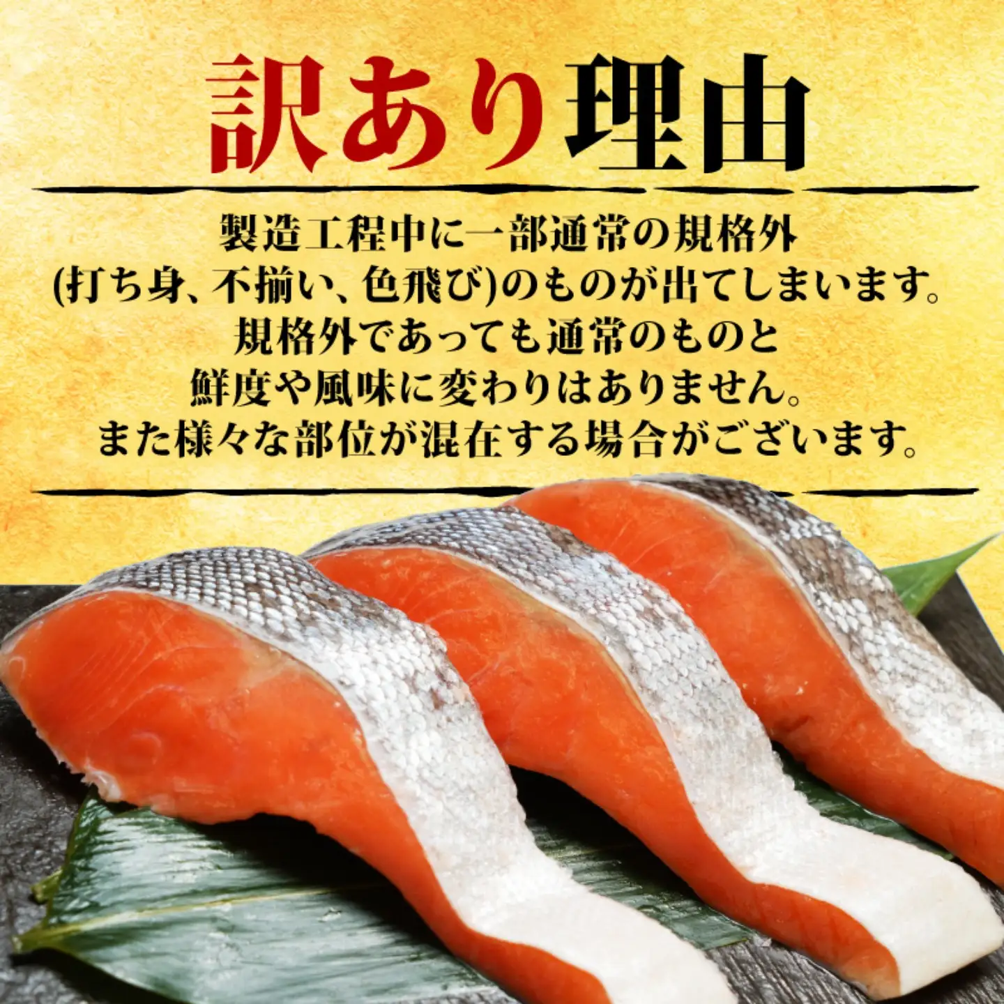 訳あり 銀鮭 1.6kg 鮭