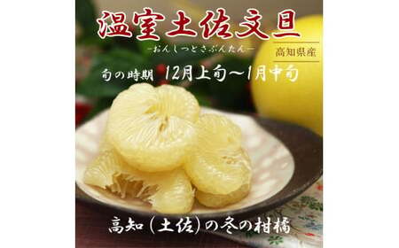 【先行予約】温室土佐文旦 Lサイズ 3個入り 柑橘皮むき器付き〈2026年12月上旬?2027年1月中旬頃発送〉  /  お得箱 ブンタン ぶんたん 土佐文旦 フルーツ 果物 くだもの 柑橘 旬 訳あり わけあり ご自宅用 ご家庭用 おいしい【白木果樹園】 [BQAI038]