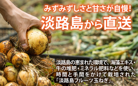淡路島産 新玉 フルーツ玉ねぎ 8kg【サイズ色々】 / 玉ねぎ