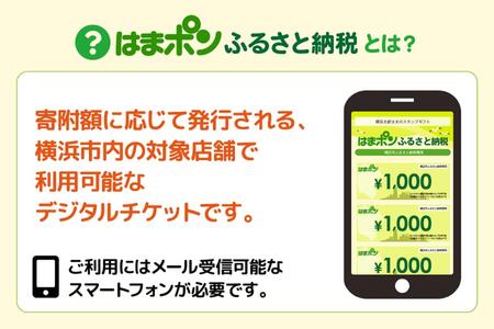はまポンふるさと納税チケット3000円分（1000円×3枚） AJV0001