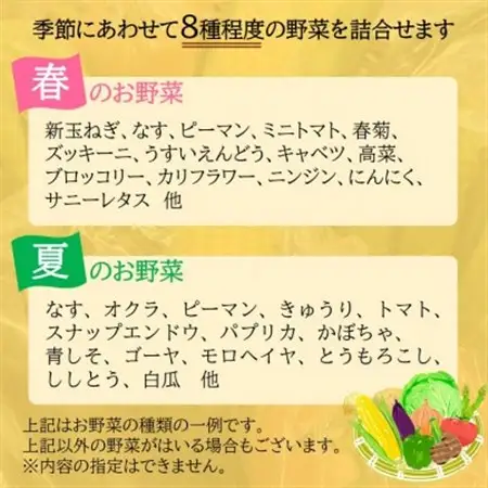 ファーマーズマーケット厳選　日高からの贈り物　季節の野菜セット(8種以上)【野菜詰め合わせ】【配送不可地域：離島】【1523337】