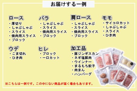 ＜ 定期便 12回 ＞ 北海道産 健酵豚 おまかせ セット （ 加工品 あり） 毎月 各 3～4 パック 豚肉 精肉 加工品 詰め合わせ ブランドポーク