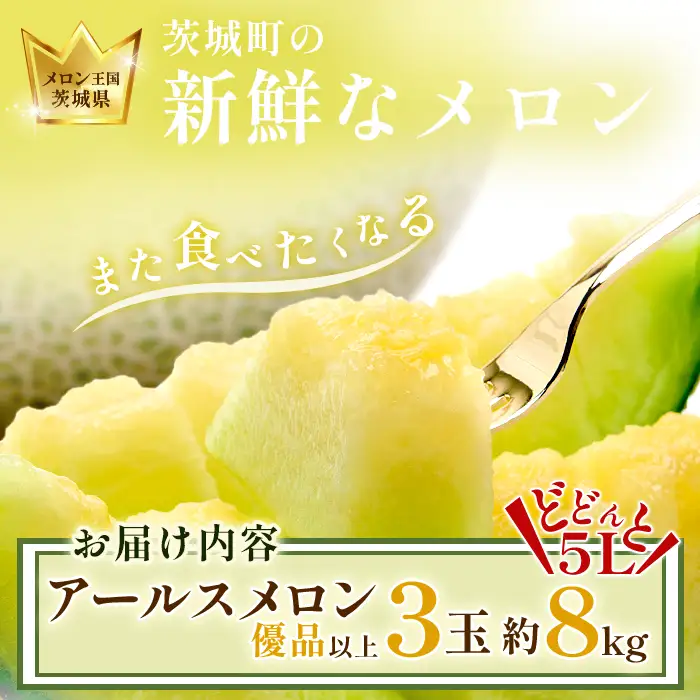490 アールスメロン 3～5玉 約8kg 優品以上 高級 茨城 JA水戸産