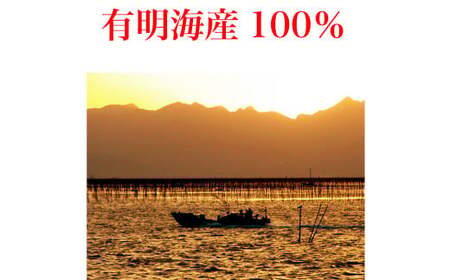 福岡有明のり 海苔のふりかけ 30g×10袋 計300g 有明海産 海苔 ふりかけ 味付け海苔 のり ごま