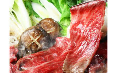 【6ヶ月定期便】博多和牛 ザブトンと肩ロース芯スライス しゃぶしゃぶ・すき焼き用 4人前