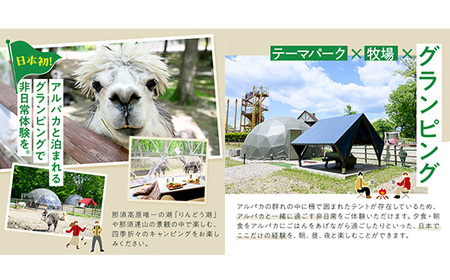 【泊まれる牧場】那須高原りんどう湖ファミリー牧場 日本初・アルパカと泊まれる グランピング 30,000円分利用券｜宿泊 旅行 レジャー アウトドア BBQ 国内 那須 栃木県 那須町〔G-36〕