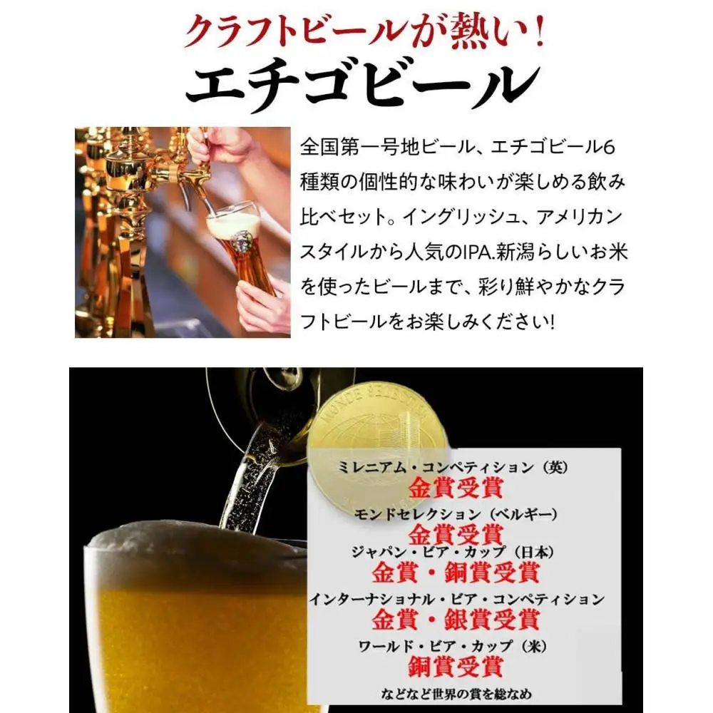 全国第一号地ビール エチゴビール6種類飲み比べセット350缶×12本