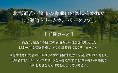 北海道 ドリームカントリークラブ ゴルフ場 利用券 15,000円分 T042-FT13 体験 チケット