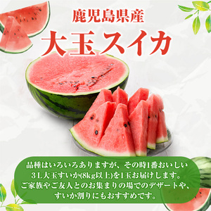 ＜先行予約受付中！2026年6月中旬以降順次発送予定＞鹿児島県産 大玉スイカ(3Lサイズ・1玉) 国産 果物 スイカ すいか 西瓜 フルーツ スイーツ スムージー ジュース【松永青果】akn053-15