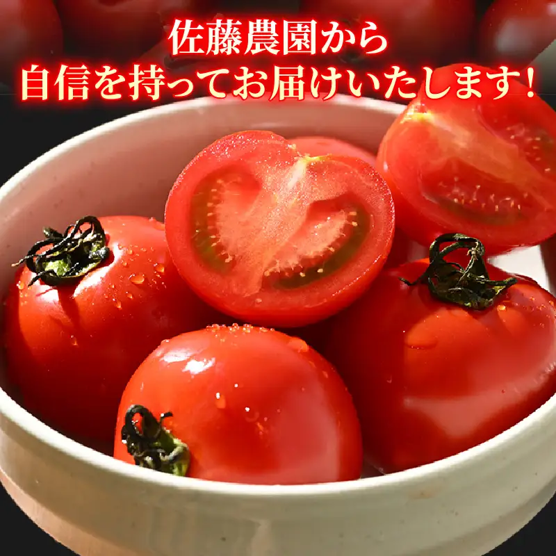 【先行予約】ミディトマト 越のルビー パック入り 約1kg 5パック（4パック＋品質補償1パック） / 福井県産 ブランド トマト 福井県産ブランドトマト 農家直送 有機肥料 低農薬 完熟 甘い ※2026年9月下旬より順次発送 [aw069-a009]