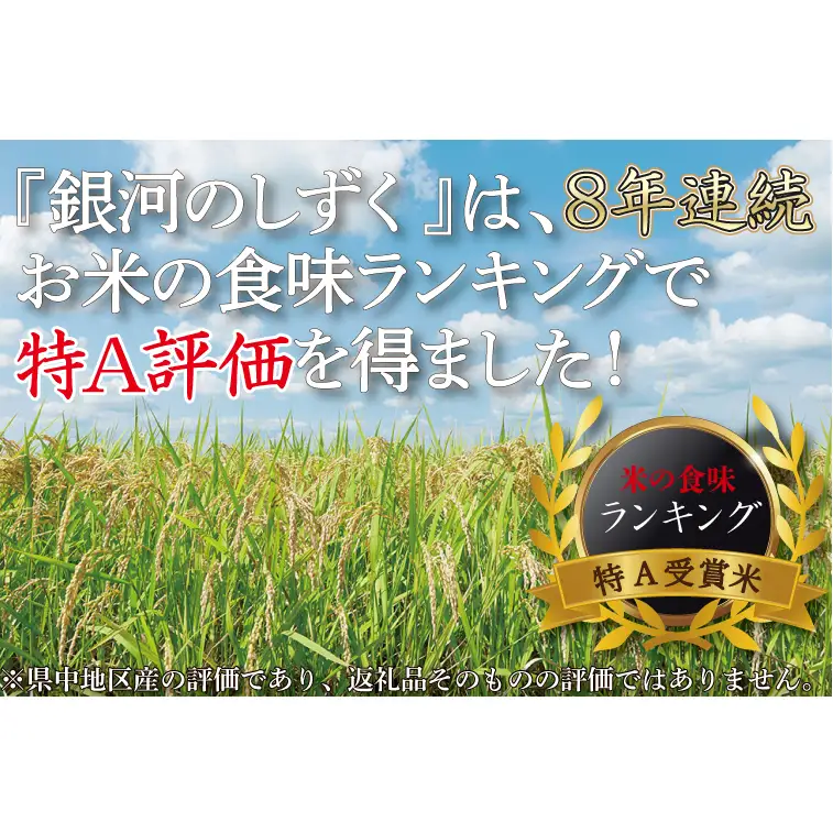 【定期便 3ヶ月】無洗米 令和7年産 銀河のしずく 10kg AE196 無洗