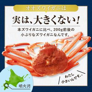 【訳あり】北海道噴火湾産 活オオズワイガニ1.5kg ＜道産ネットミツハシ＞ かに カニ 蟹 ガニ がに 森町 ふるさと納税 北海道 mr1-1339