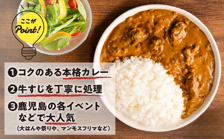 【7営業日以内に発送】牛すじ カレー 2kg K008-006 惣菜 総菜 冷凍 スピード配送 最短 すぐ届く お急ぎ