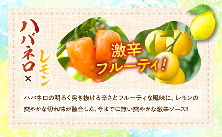 爽やか激辛食感 フルーティなハバネロソース 数量限定 宮崎 ハバネロ ソース 計2本 激辛ソース 調味料 おすすめ 加工品 オリジナル ブレンド 肉料理 パスタ ピザ ギフト プレゼント 贈り物 お取り寄せ 宮崎県 日南市 送料無料_ZXV1-24