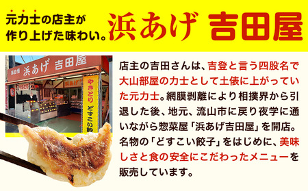 餃子 どすこい餃子 冷凍 60個 浜あげ吉田屋 | 餃子