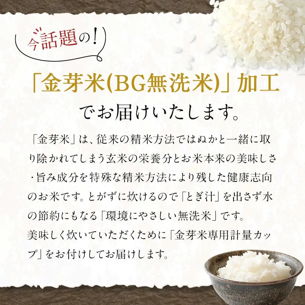 令和7年産  上富田町産 金芽米 きぬむすめ 5kg 井戸本農園