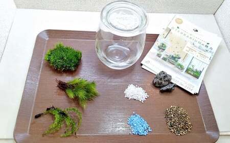 【手づくりキット】 グラスビン 苔テラリウム 【インテリア】 説明書 付き 植物 テラリウム 苔テラリウム 苔 こけ コケ 手作り ハンドメイド セット