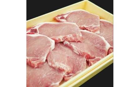 肉 能登豚 ロース テキカツ 100g×10枚 計1kg [道の駅織姫の里なかのと 石川県 中能登町 27aa0036]