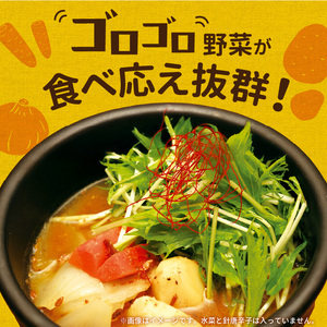 【ナチュラルファーム菓樹】農園野菜スープカレー 3個セット _NK0106