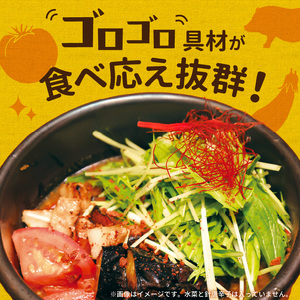 【ナチュラルファーム菓樹】トマトとなすのスープカレー 3個セット _NK0506